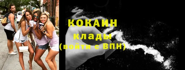 гидра Бронницы