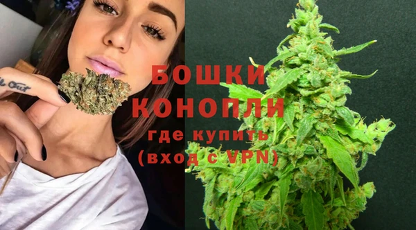 гидра Бронницы