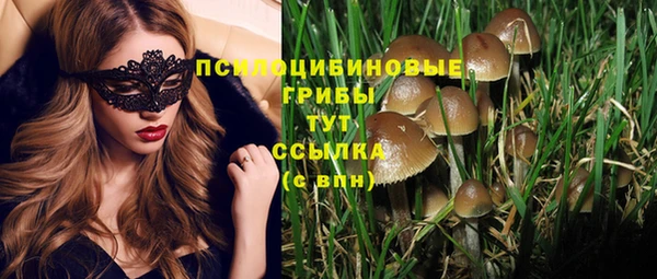 соль курить ск Бородино