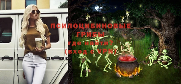 гидра Бронницы