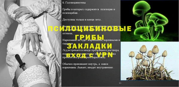 гидра Бронницы