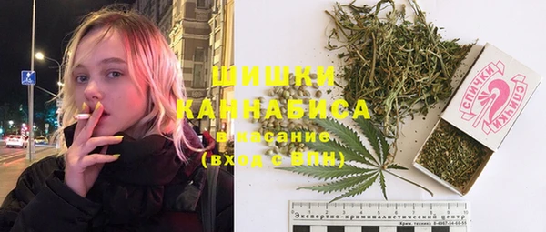 гидра Бронницы